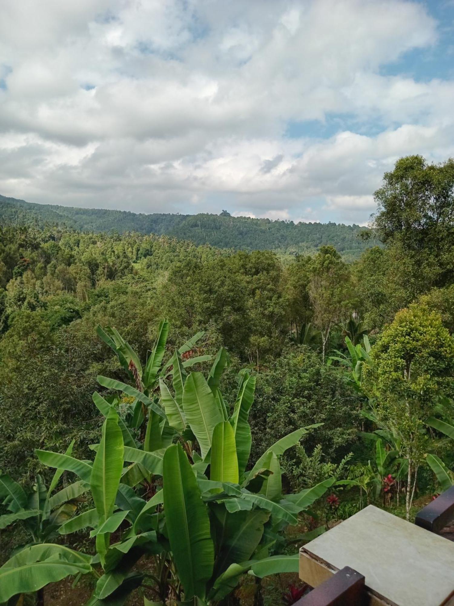 Kanaya Homestay & Warung Heaven 문덕 외부 사진