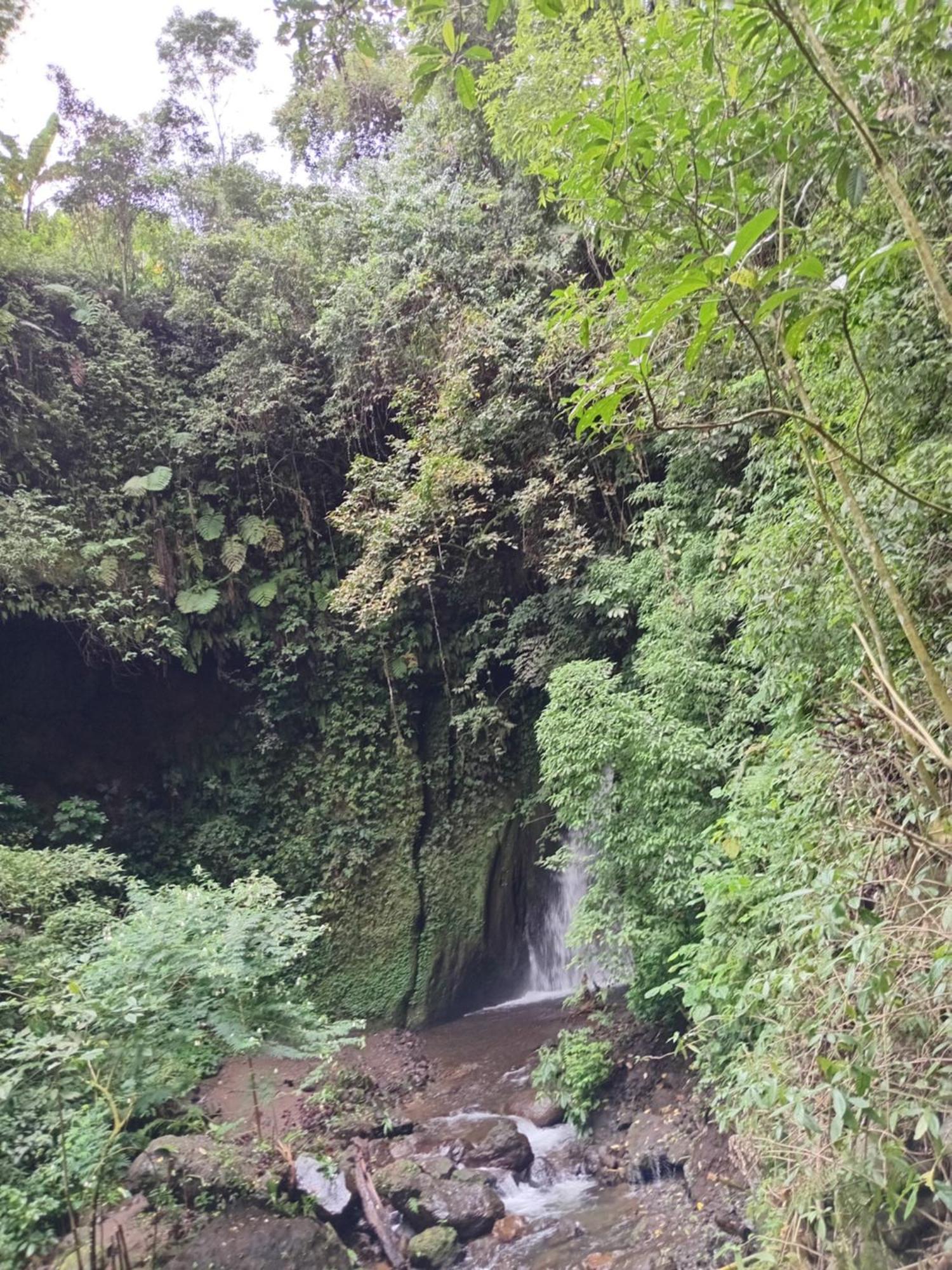 Kanaya Homestay & Warung Heaven 문덕 외부 사진